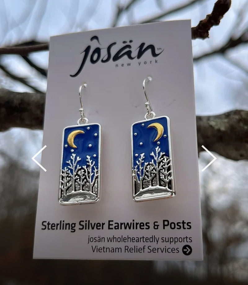 Earrings - Stary Night 1