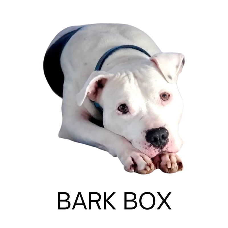 Bark Box